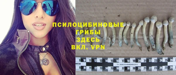 гидропоника Балахна